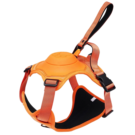 Dog Harness And Retractable Leash